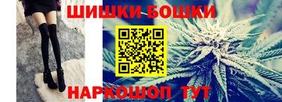 гидра Новозыбков