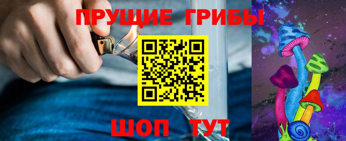 Галлюциногенные грибы Psilocybine cubensis Орёл